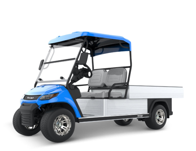 ECAR LT-A827.H8 - 2 Seater Cart Electric Golf