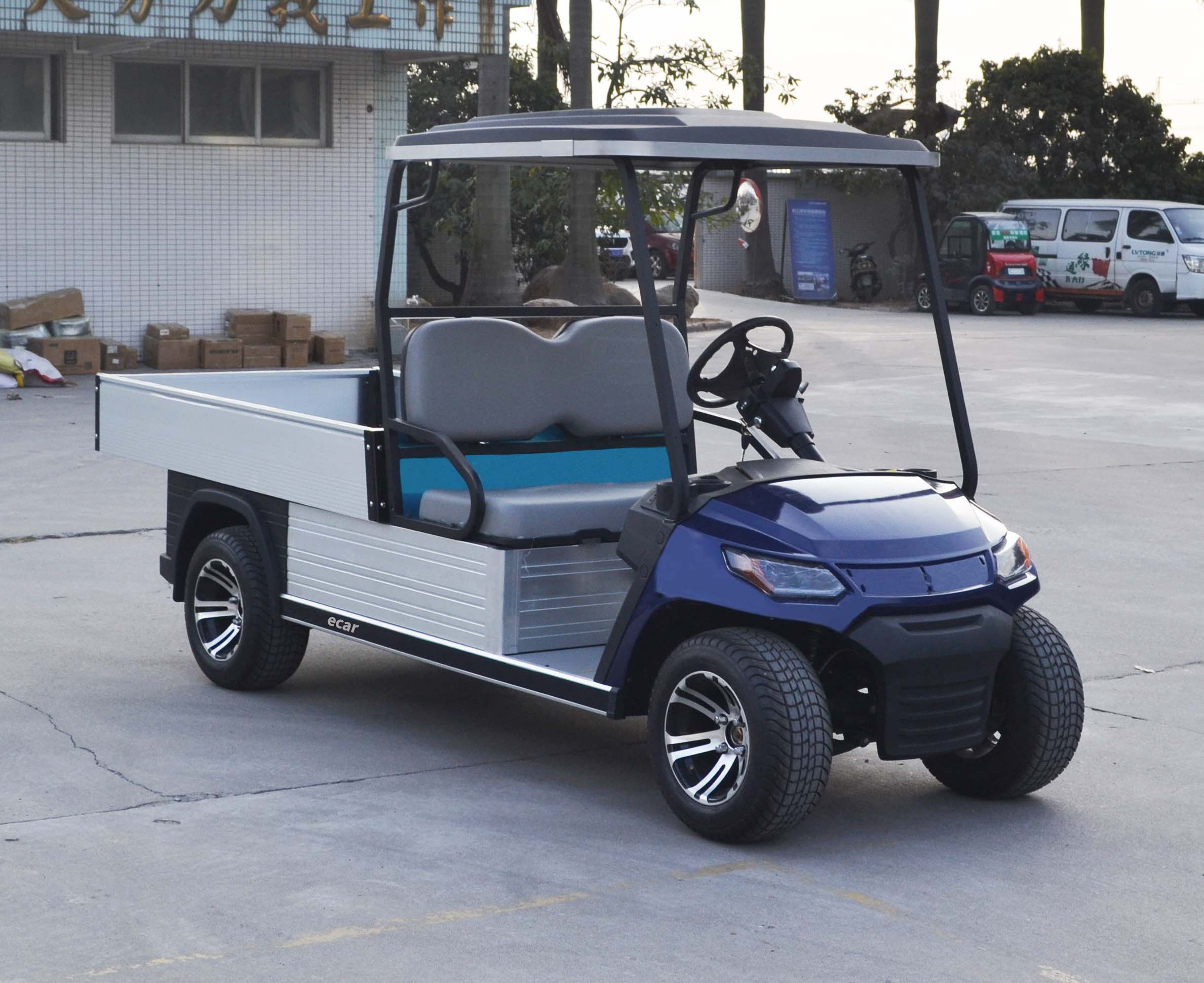 ECAR LT-A827.H8 - 2 Seater Cart Electric Golf