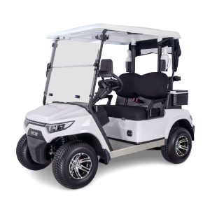 ECAR Magnum 2 Seat Golf Cart