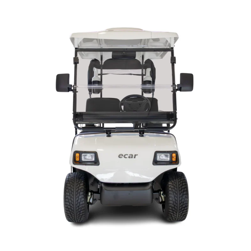 Ecar A2 2 Seat Golf Cart - Image 2
