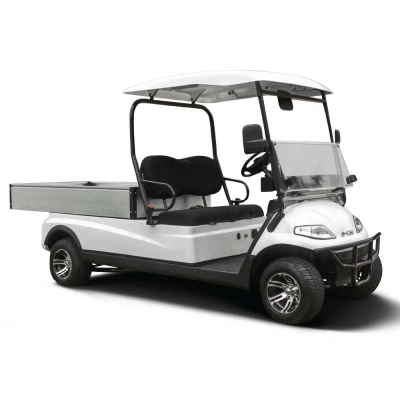 ECAR 627.H8 2 Seat Utility Golf Cart