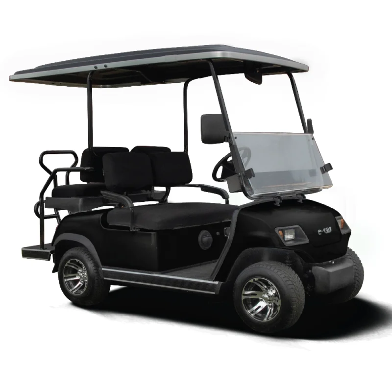 Ecar A2+2 4 Seat Golf Cart