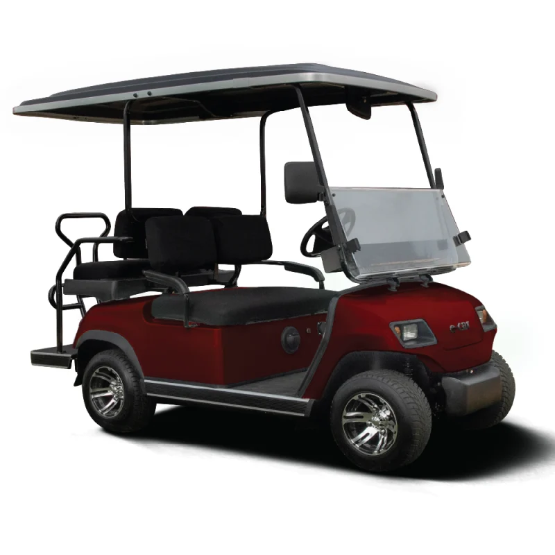 Ecar A2+2 4 Seat Golf Cart