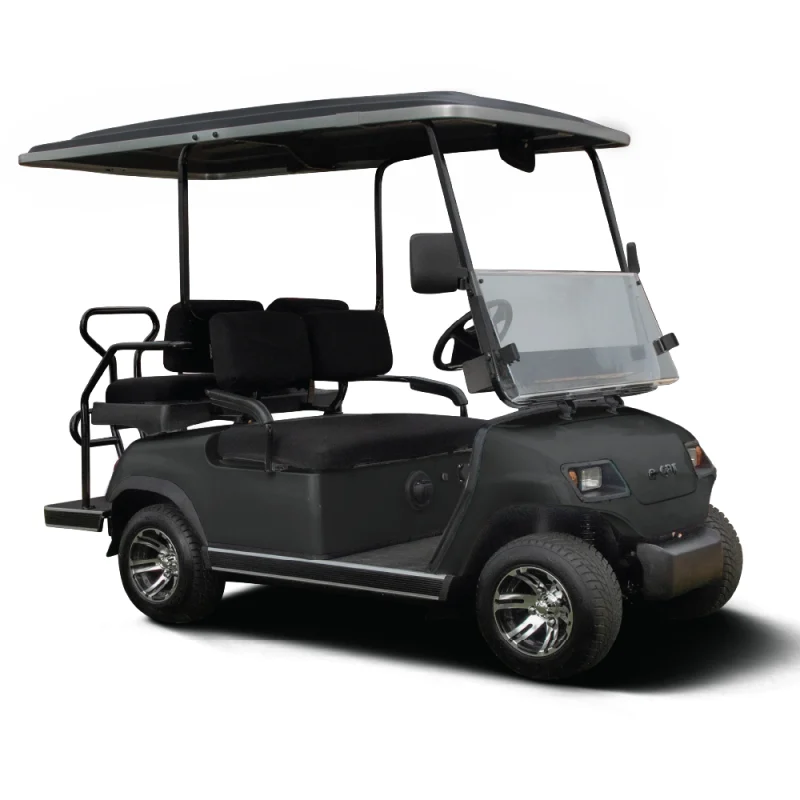 Ecar A2+2 4 Seat Golf Cart - Image 4