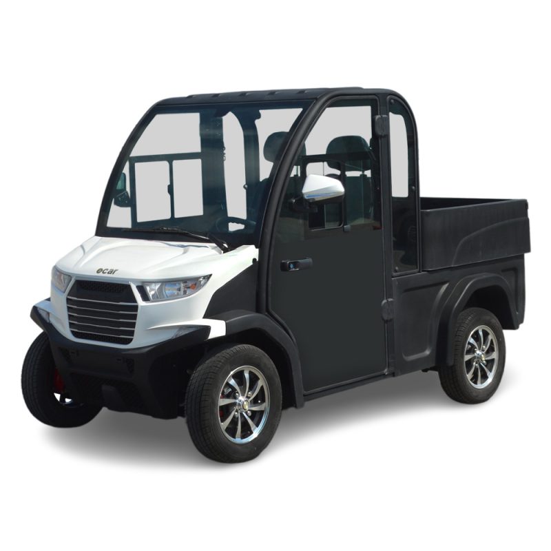 Ecar Lt-S2.Dbh 2 Seat Enclosed Utility Golf Cart