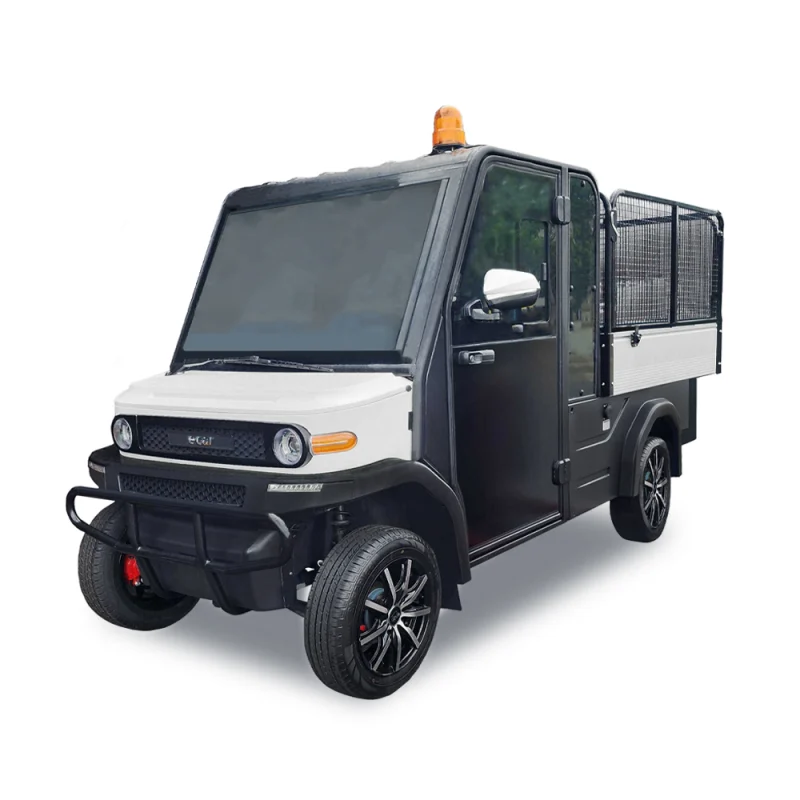 Ecar Lt-S2.Dch 2 Seat Enclosed Commercial Utility Golf Cart