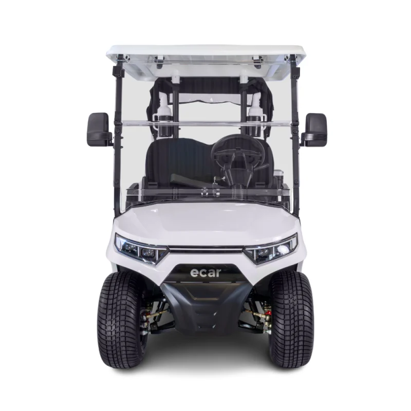 Ecar Magnum 2 Seat Golf Cart - Image 2
