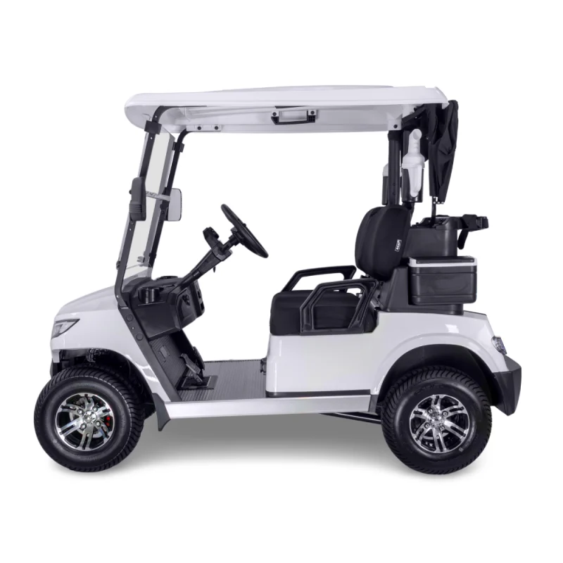 Ecar Magnum 2 Seat Golf Cart - Image 4