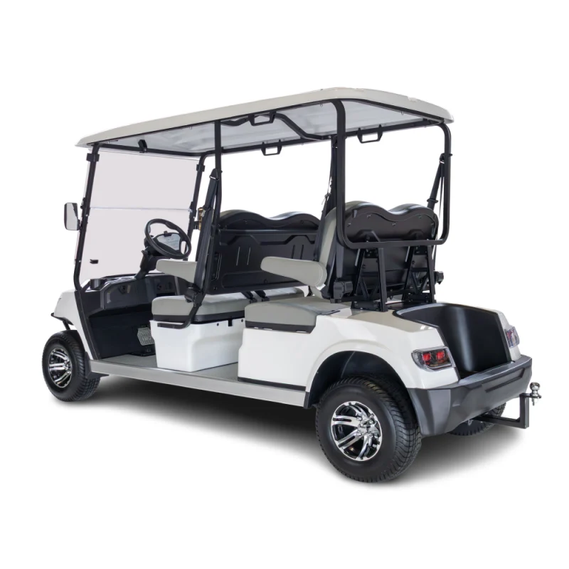 Ecar Magnum 4 Seat Golf Cart - Image 5