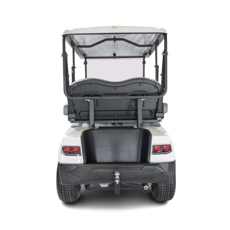 Ecar Magnum 4 Seat Golf Cart - Image 3