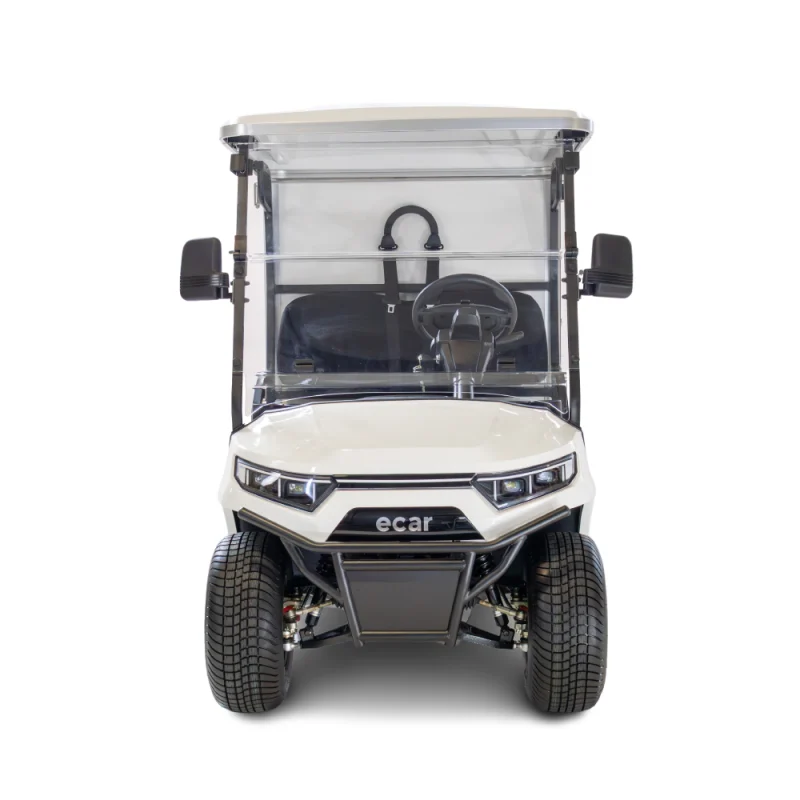 Ecar Magnum Gc 2 Seat Housekeeping Golf Cart - Image 2