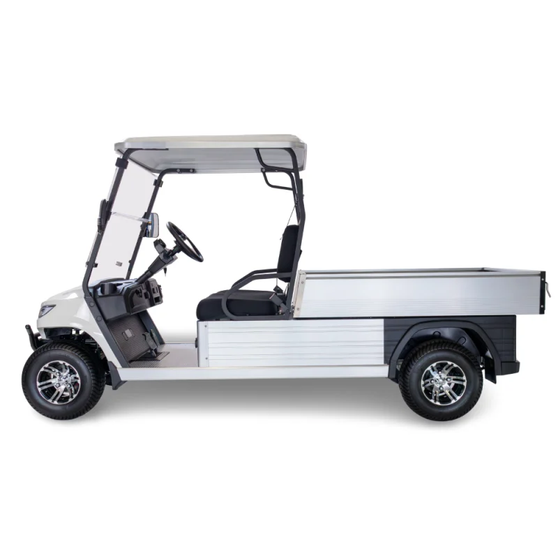 Ecar Magnum H2 2 Seat Utility Golf Cart - Image 4