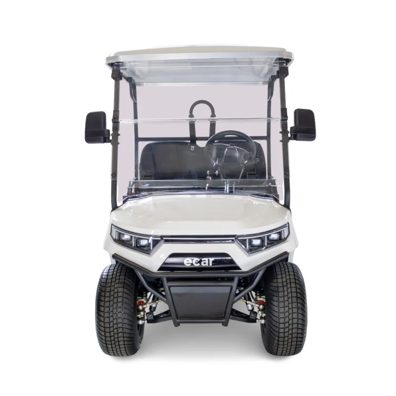 Ecar Magnum H2 2 Seat Utility Golf Cart - Image 2