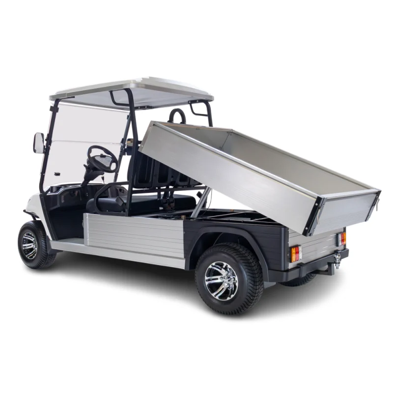 Ecar Magnum H2 2 Seat Utility Golf Cart - Image 6