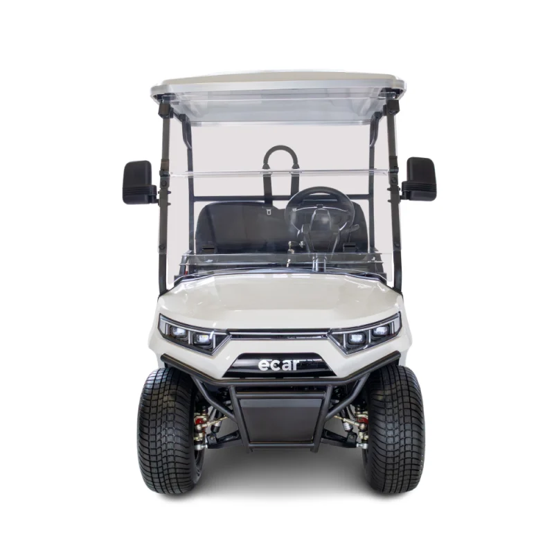 Ecar Magnum H8 2 Seat Utility Golf Cart - Image 2