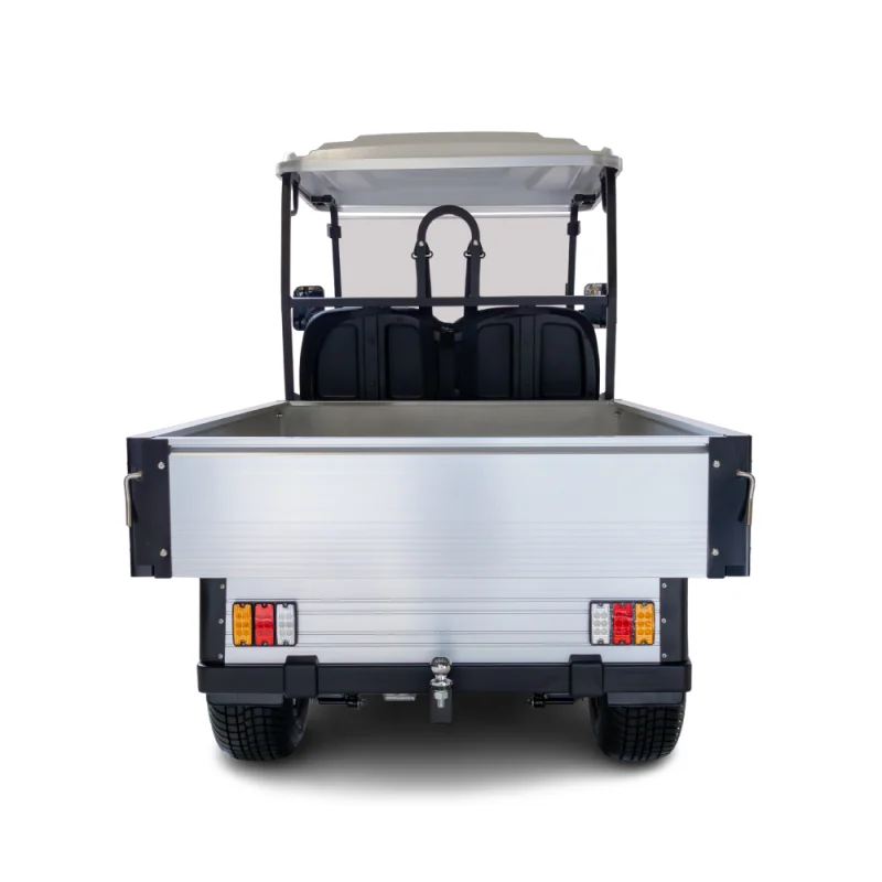 Ecar Magnum H8 2 Seat Utility Golf Cart - Image 3