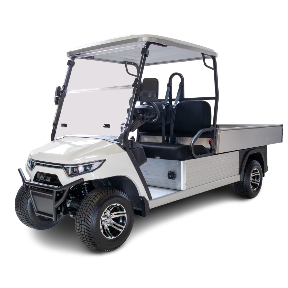 ECAR Magnum H8 2 Seat Utility Golf Cart