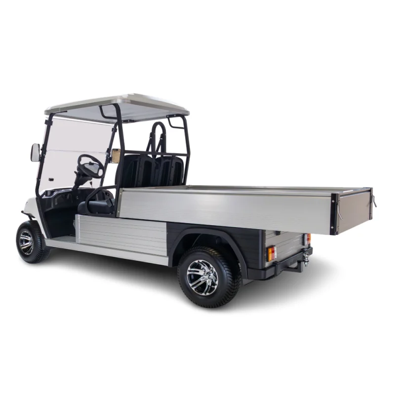 Ecar Magnum H8 2 Seat Utility Golf Cart - Image 5
