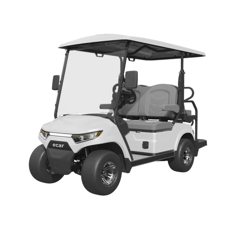 Ecar Magnum 2+2 4 Seat Golf Cart