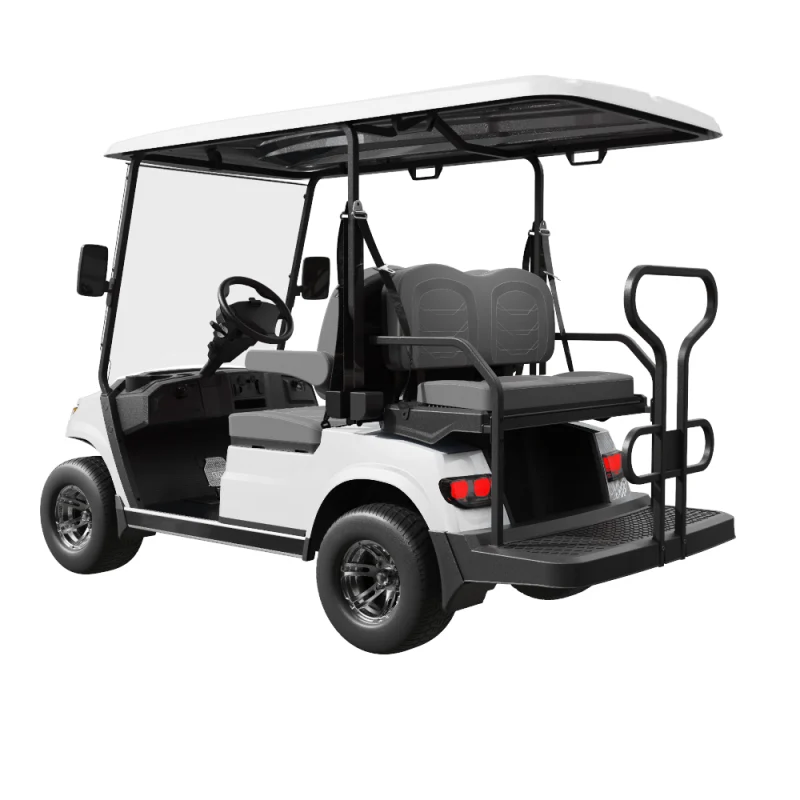 Ecar Magnum 2+2 4 Seat Golf Cart Rear Side