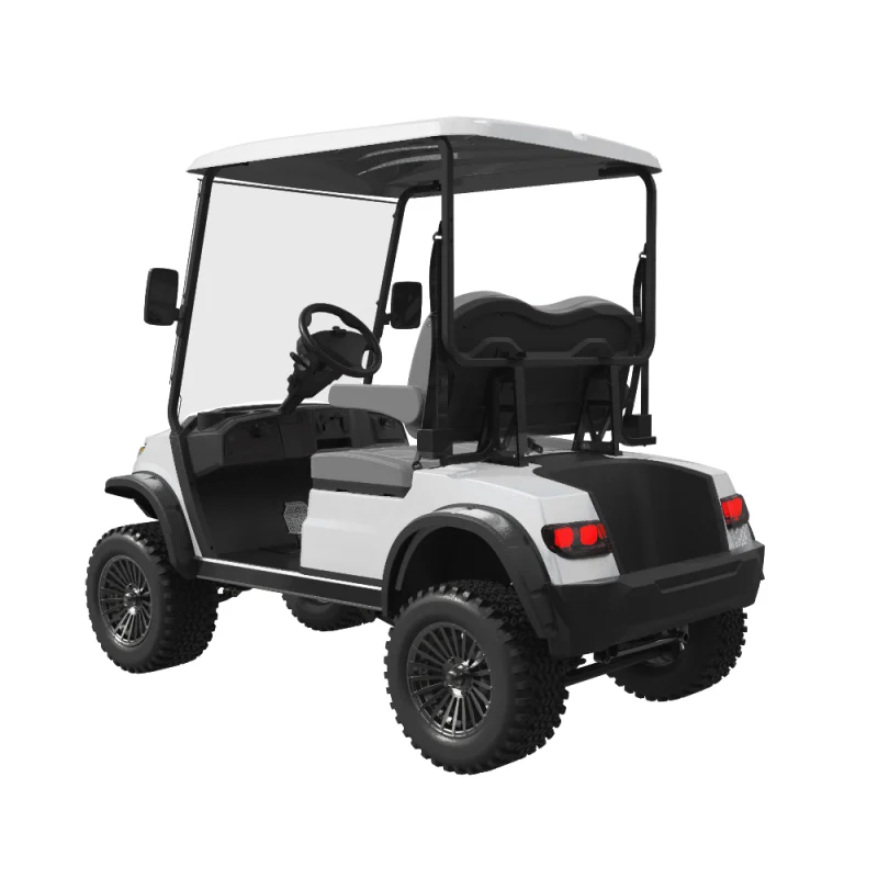 Ecar Magnum 2G 2 Seat Lifted Golf Cart Rear Side