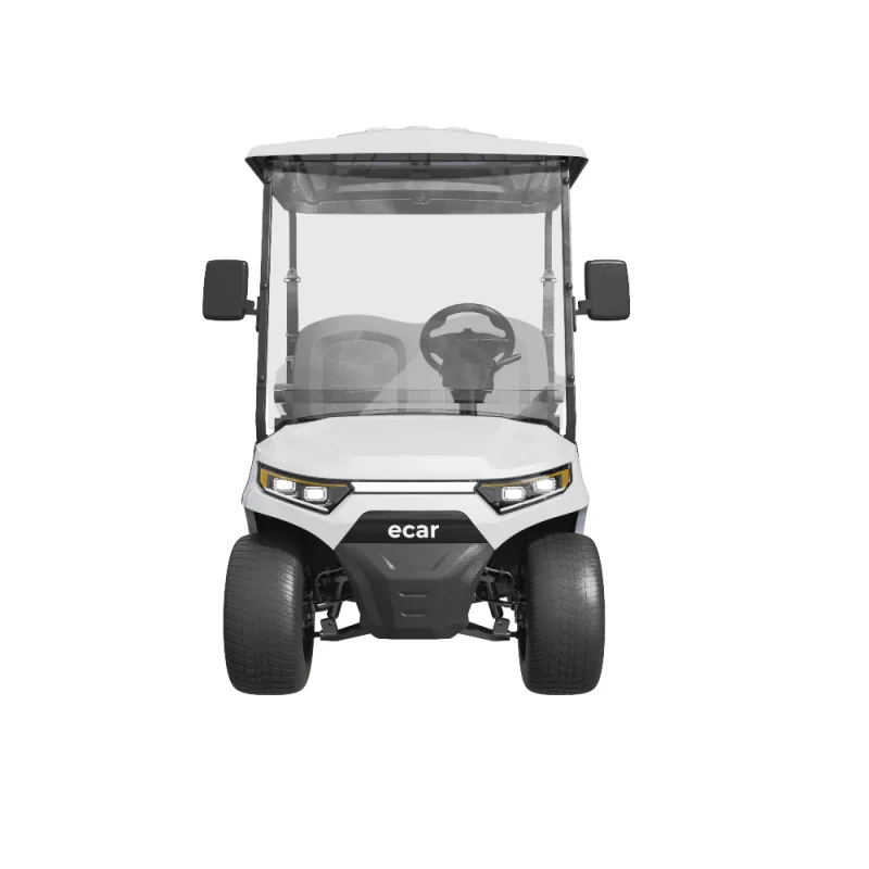 Ecar Magnum 2Ul 2 Seat Utility Golf Cart Front
