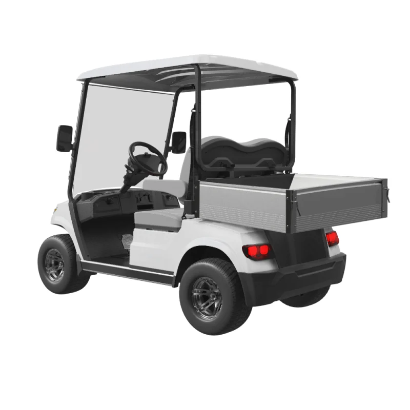 Ecar Magnum 2Ul 2 Seat Utility Golf Cart Rear Side