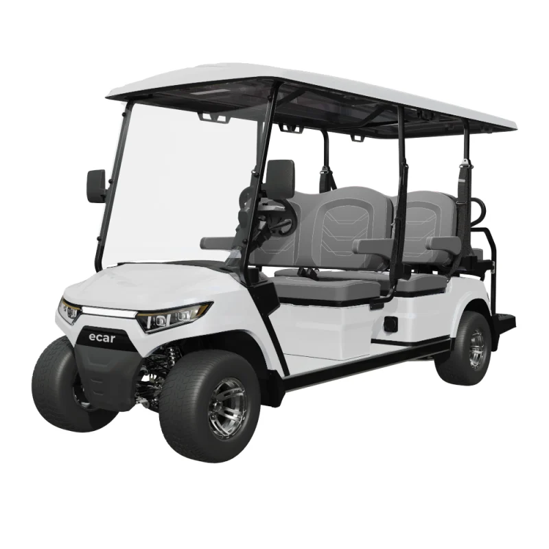ECAR Magnum 4+2 6 Seat Golf Cart