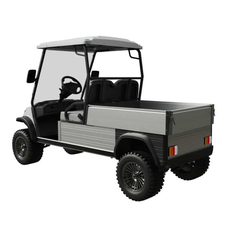 Ecar Magnum H2G 2 Seat Lifted Utility Golf Cart Rear Side