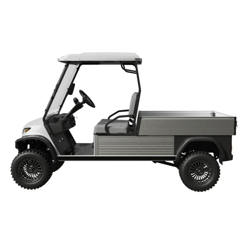 Ecar Magnum H2G 2 Seat Lifted Utility Golf Cart Side