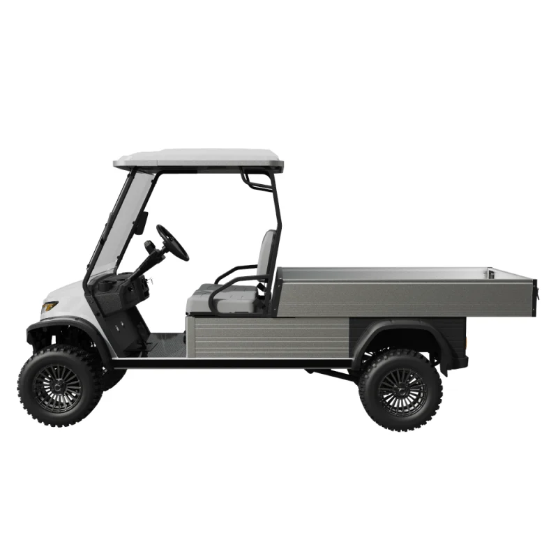 Ecar Magnum H8G 2 Seat Lifted Utility Golf Cart Side