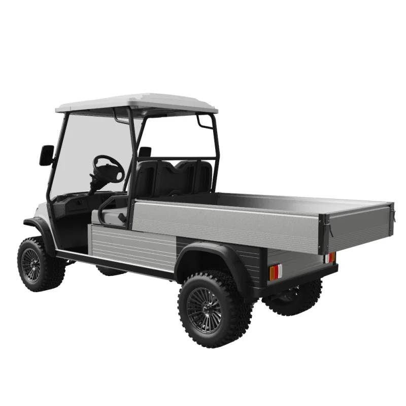 Ecar Magnum H8G 2 Seat Lifted Utility Golf Cart Rear Side